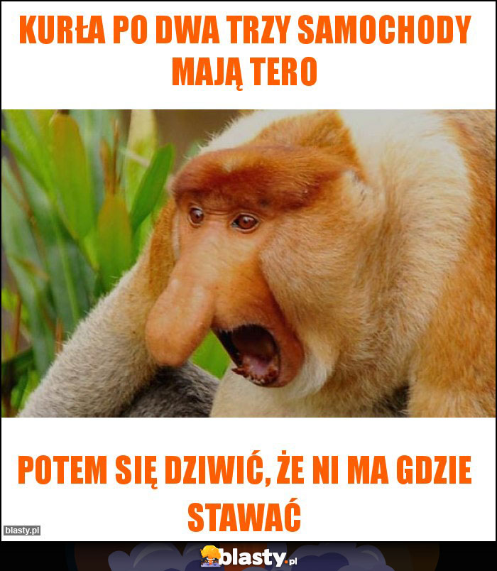 Kurła po dwa trzy samochody mają tero