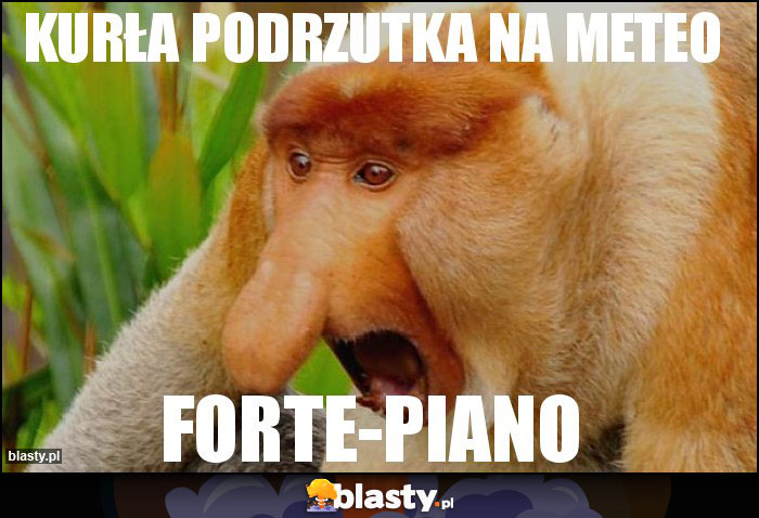kurła podrzutka na meteo kurła podrzutka na meteo