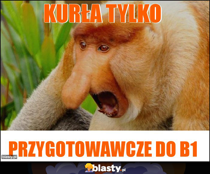 KURŁA TYLKO