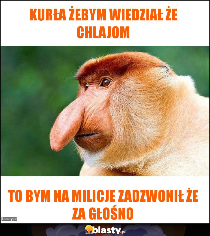 Kurła żebym wiedział że chlajom Kurła żebym wiedział że chlajom