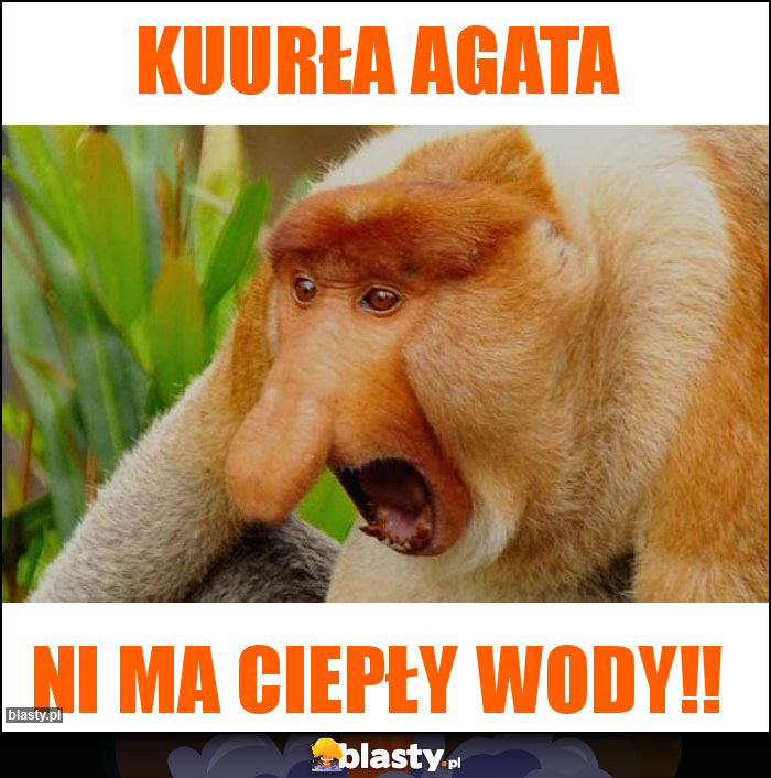 KUURŁA AGATA KUURŁA AGATA