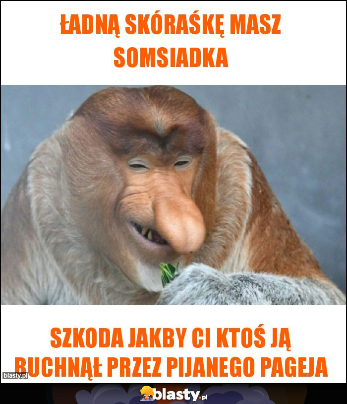 Ładną skóraśkę masz somsiadka Ładną skóraśkę masz somsiadka