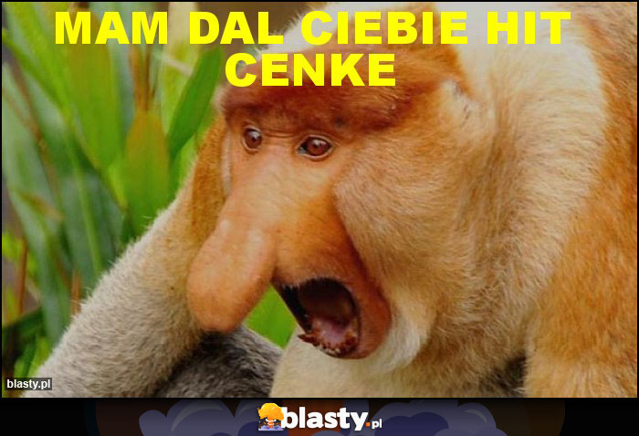 Mam dal ciebie Hit cenke Mam dal ciebie Hit cenke