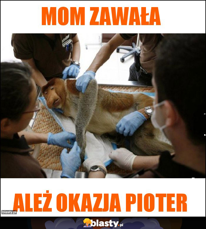 MOM ZAWAŁA MOM ZAWAŁA
