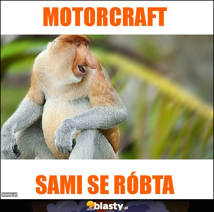 motorcraft motorcraft