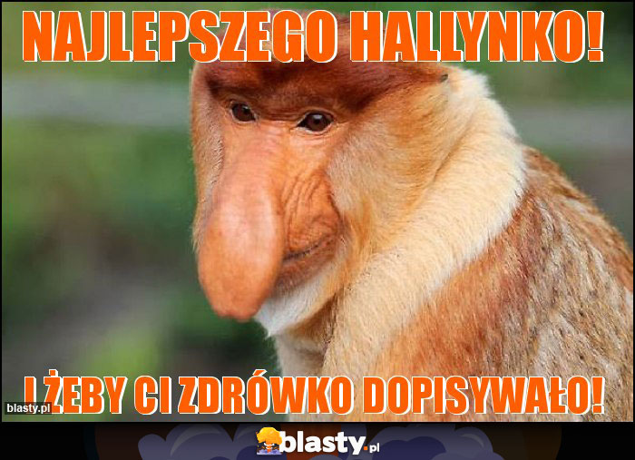 Najlepszego Hallynko! Najlepszego Hallynko!