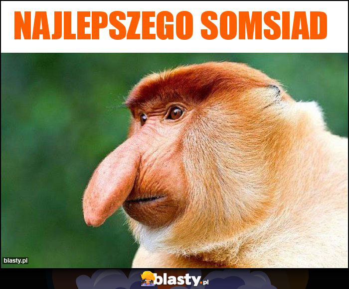 Najlepszego somsiad Najlepszego somsiad