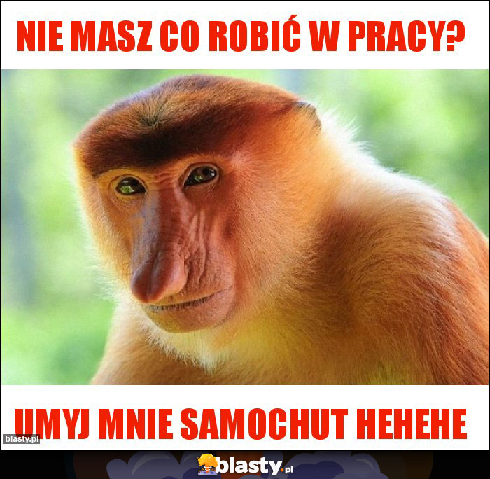 Nie masz co robić w pracy? Nie masz co robić w pracy?