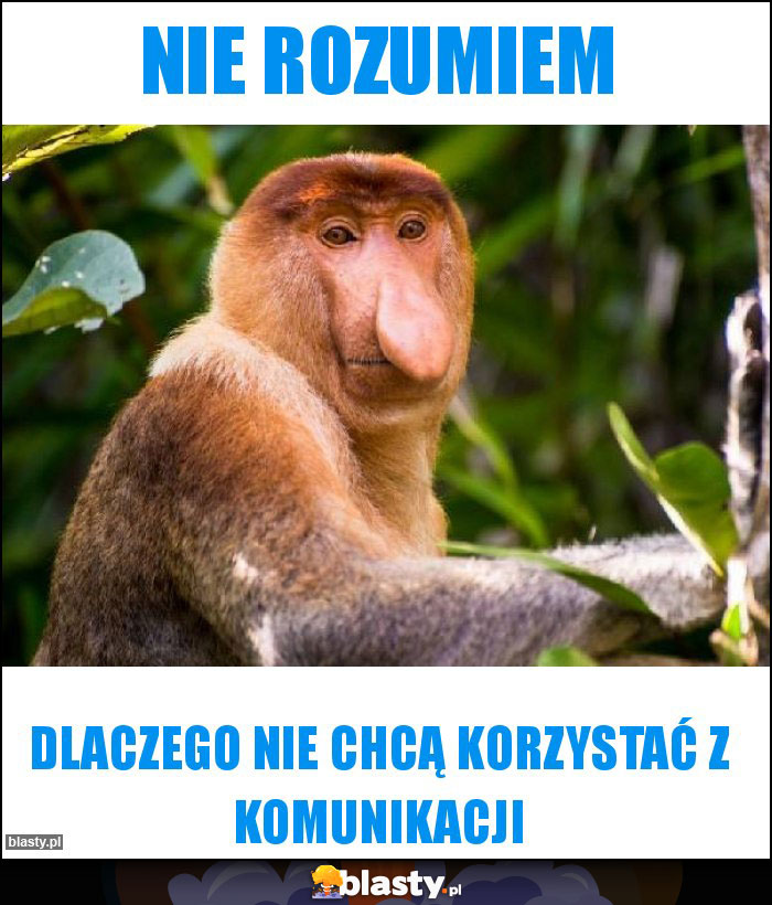 Nie rozumiem Nie rozumiem