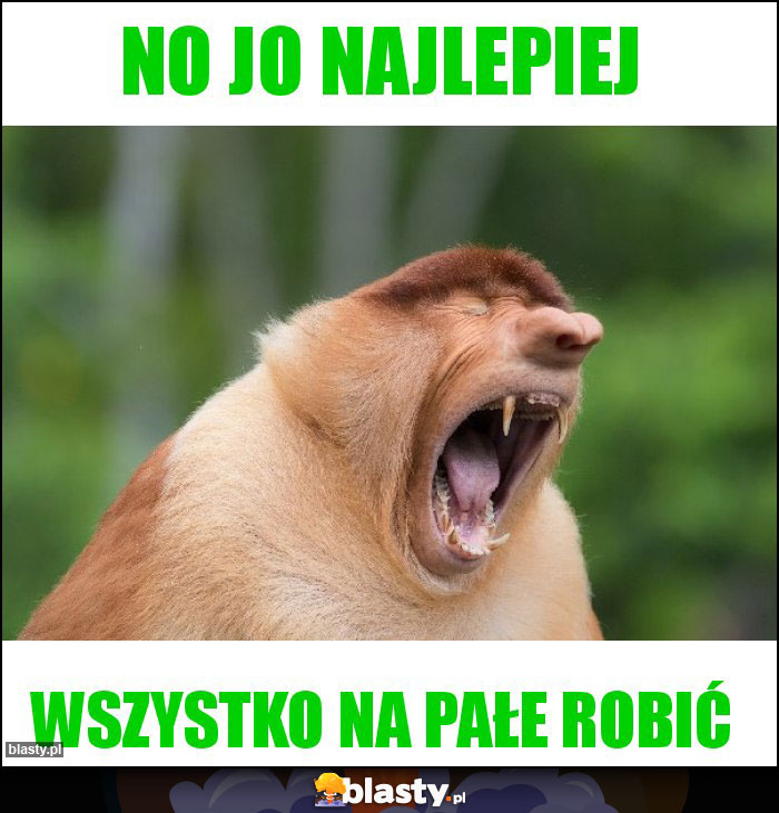 no jo najlepiej no jo najlepiej
