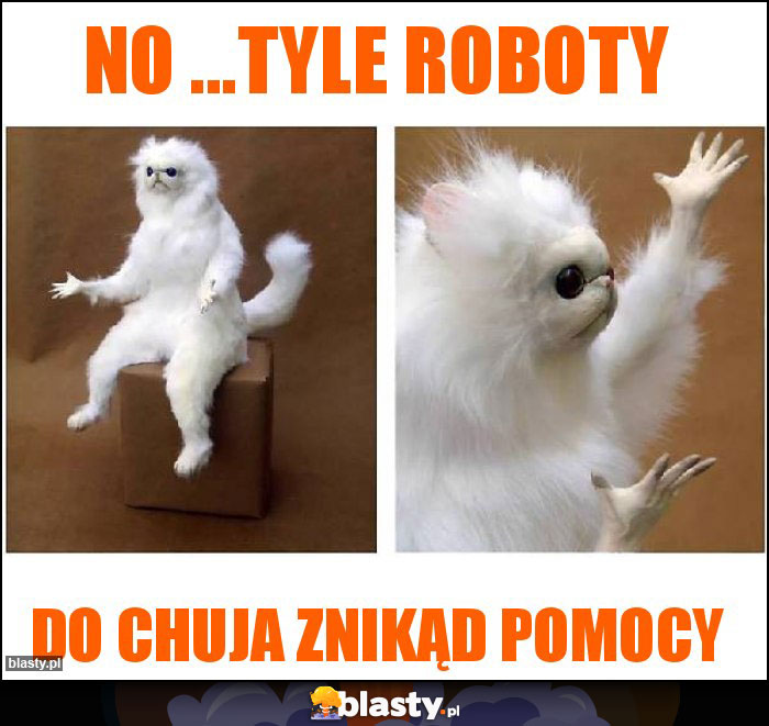 No ...tyle roboty No ...tyle roboty