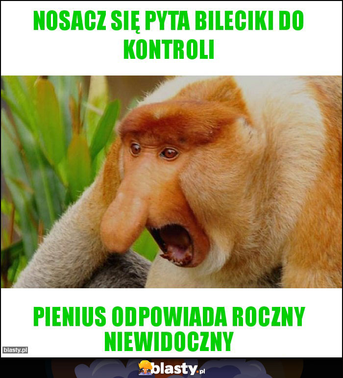 Nosacz się pyta bileciki do kontroli Nosacz się pyta bileciki do kontroli
