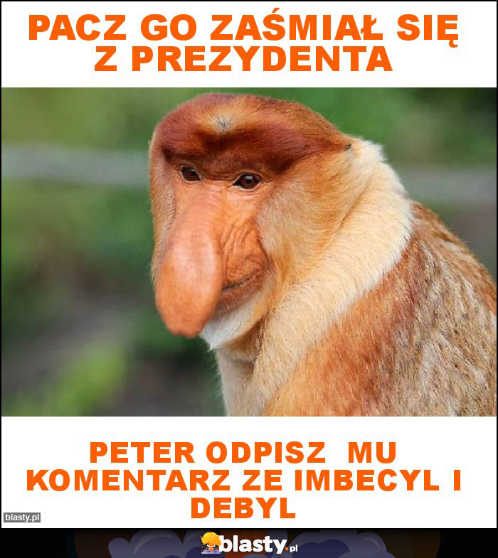PACZ GO ZAŚMIAŁ SIĘ Z PREZYDENTA PACZ GO ZAŚMIAŁ SIĘ Z PREZYDENTA