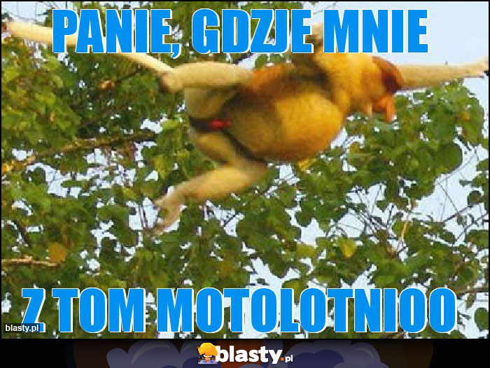 PANIE, GDZJE MNIE