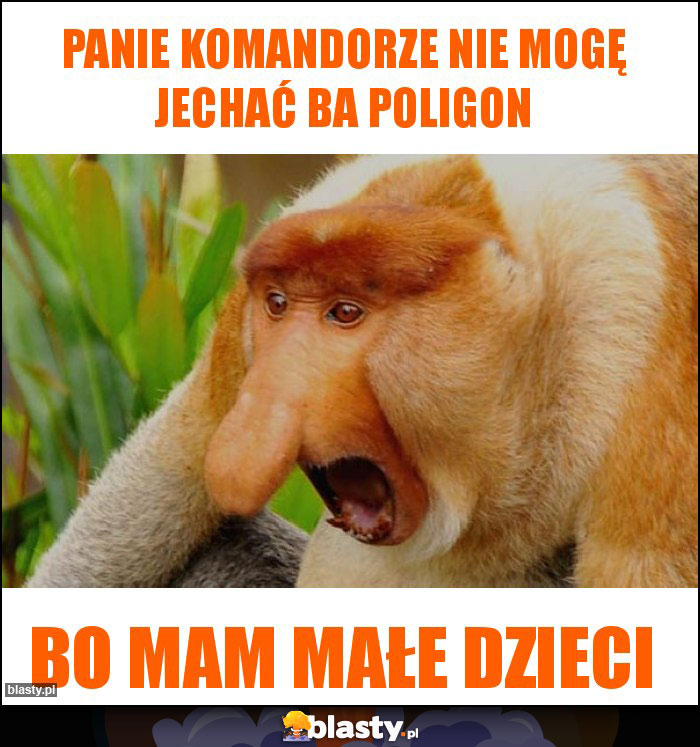 Panie komandorze nie mogę jechać ba poligon Panie komandorze nie mogę jechać ba poligon