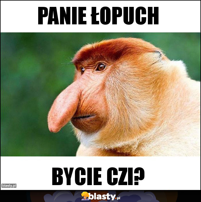 Panie Łopuch Panie Łopuch