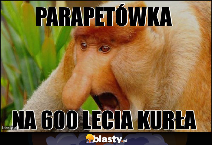 Parapetówka Parapetówka