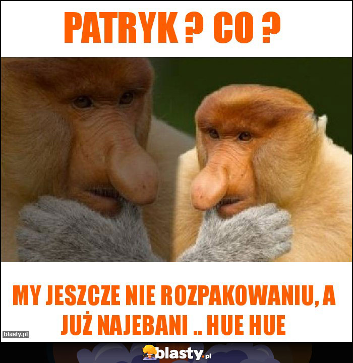 Patryk ? Co ? Patryk ? Co ?