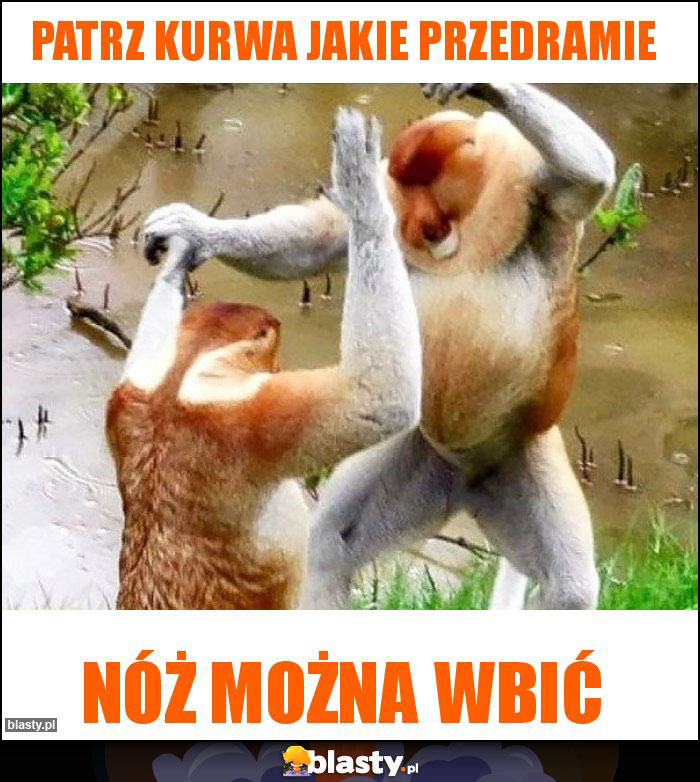 Patrz kurwa jakie przedramie Patrz kurwa jakie przedramie
