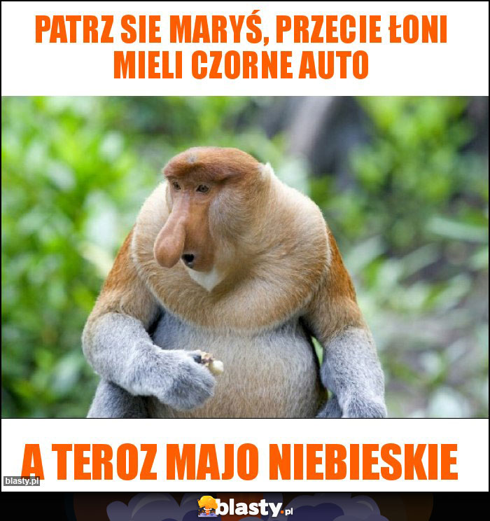 Patrz sie Maryś, przecie łoni mieli czorne auto Patrz sie Maryś, przecie łoni mieli czorne auto