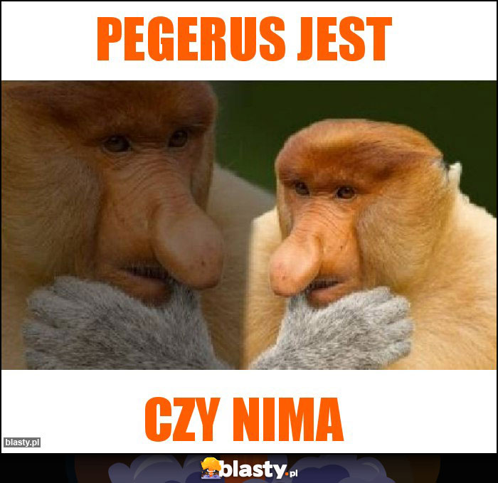 Pegerus jest Pegerus jest