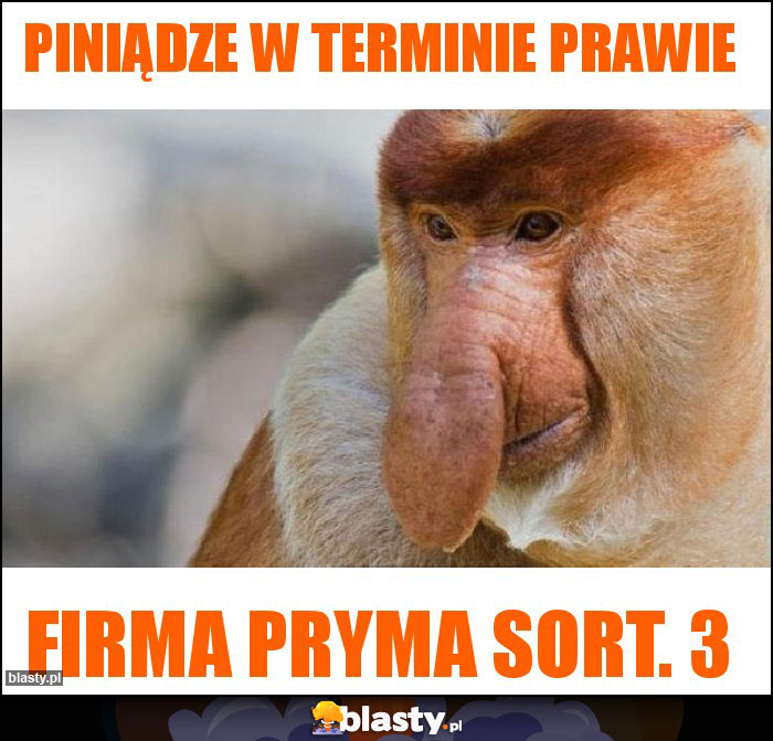 Piniądze w terminie prawie Piniądze w terminie prawie