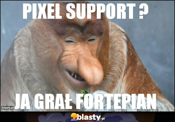Pixel support ? Pixel support ?