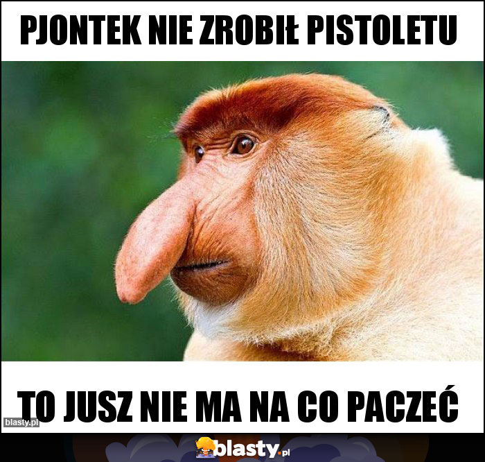 Pjontek nie zrobił pistoletu Pjontek nie zrobił pistoletu