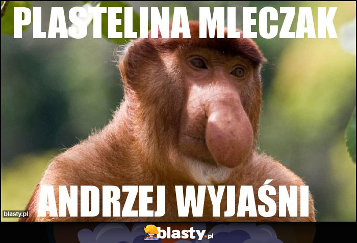plastelina mleczak plastelina mleczak
