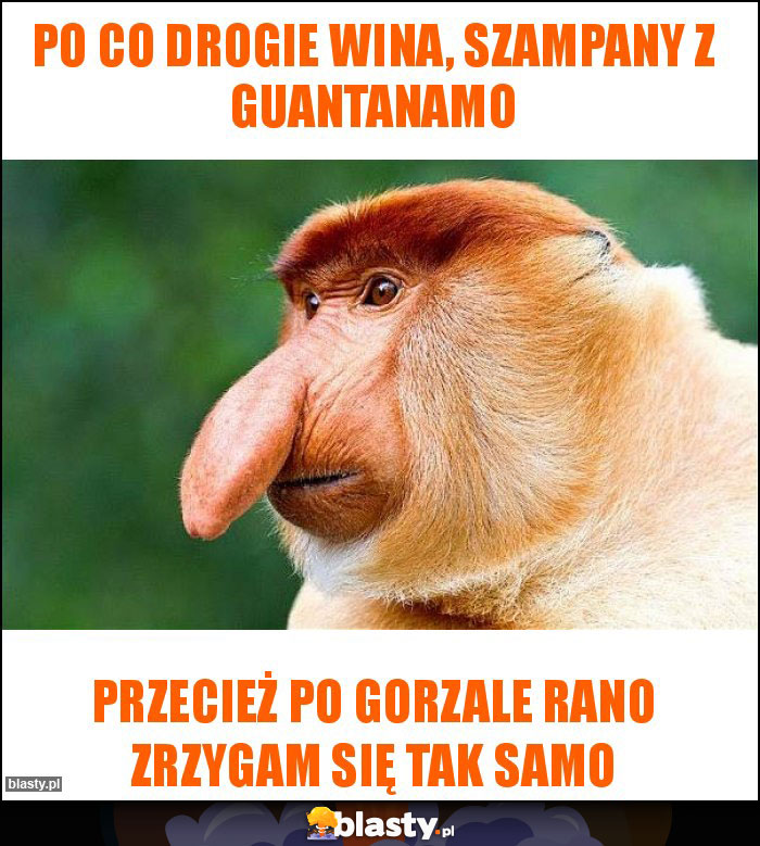 Po co drogie wina, szampany z Guantanamo Po co drogie wina, szampany z Guantanamo