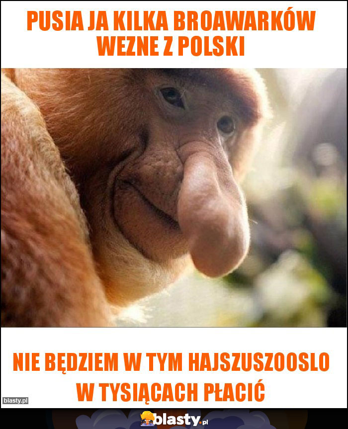 Pusia ja kilka broawarków wezne z polski Pusia ja kilka broawarków wezne z polski