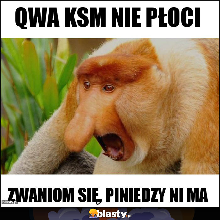 Qwa ksm nie płoci Qwa ksm nie płoci