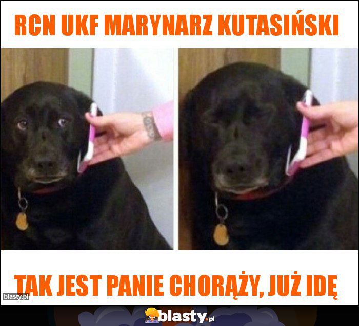 Rcn ukf marynarz kutasiński Rcn ukf marynarz kutasiński