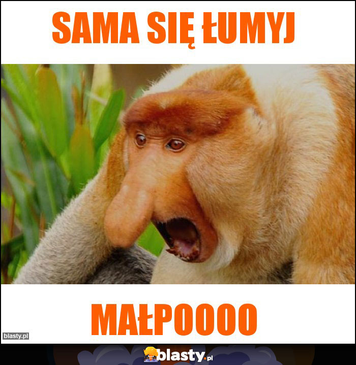 Sama się łumyj Sama się łumyj