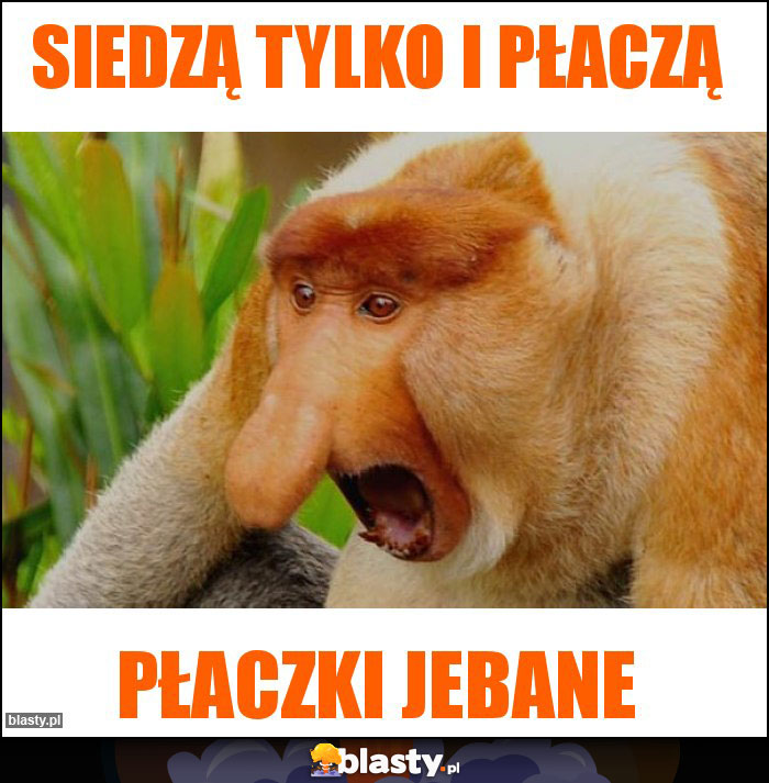 Siedzą tylko i płaczą Siedzą tylko i płaczą