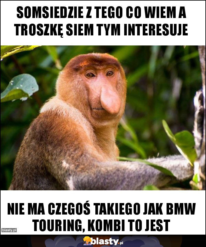 SOMSIEDZIE z tego co wiem A troszkę siem tym interesuje SOMSIEDZIE z tego co wiem A troszkę siem tym interesuje