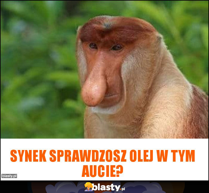 Synek sprawdzosz olej w tym aucie? Synek sprawdzosz olej w tym aucie?