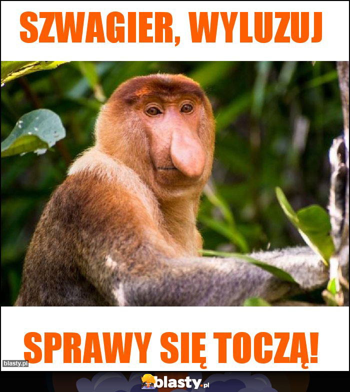 Szwagier, wyluzuj Szwagier, wyluzuj