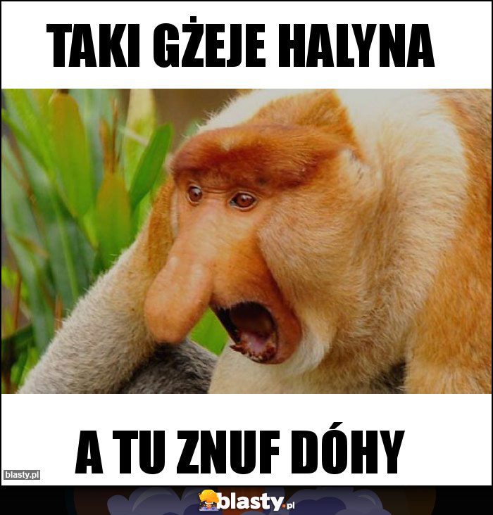 taki gżeje halyna taki gżeje halyna