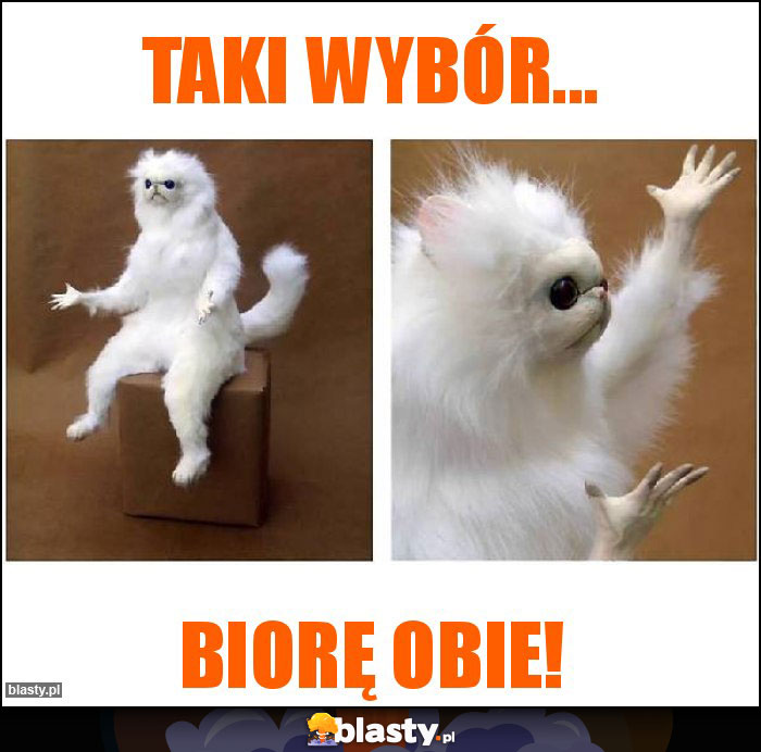 Taki wybór... Taki wybór...