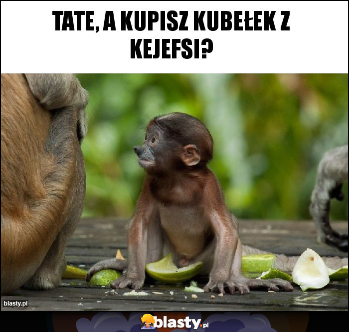 Tate, a kupisz kubełek z kejefsi? Tate, a kupisz kubełek z kejefsi?
