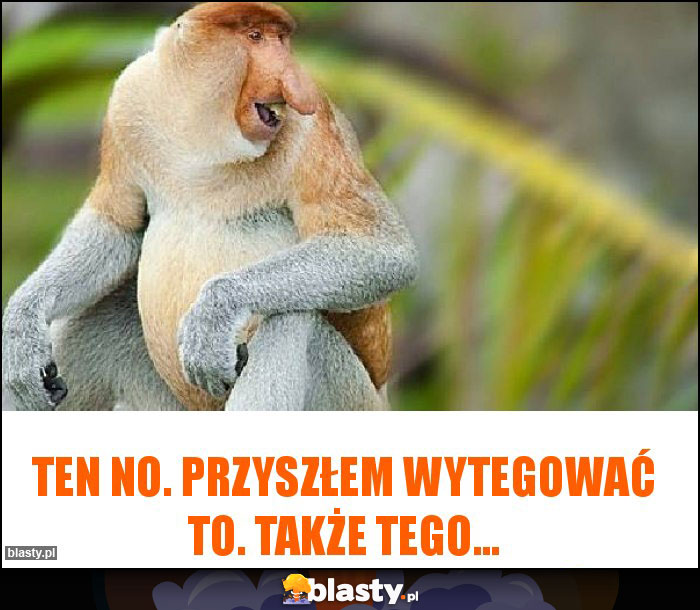 Ten no. Przyszłem wytegować to. Także tego... Ten no. Przyszłem wytegować to. Także tego...