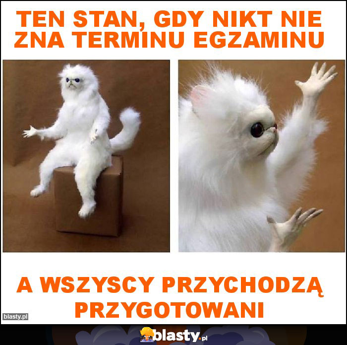 Ten stan, gdy nikt nie zna terminu egzaminu Ten stan, gdy nikt nie zna terminu egzaminu