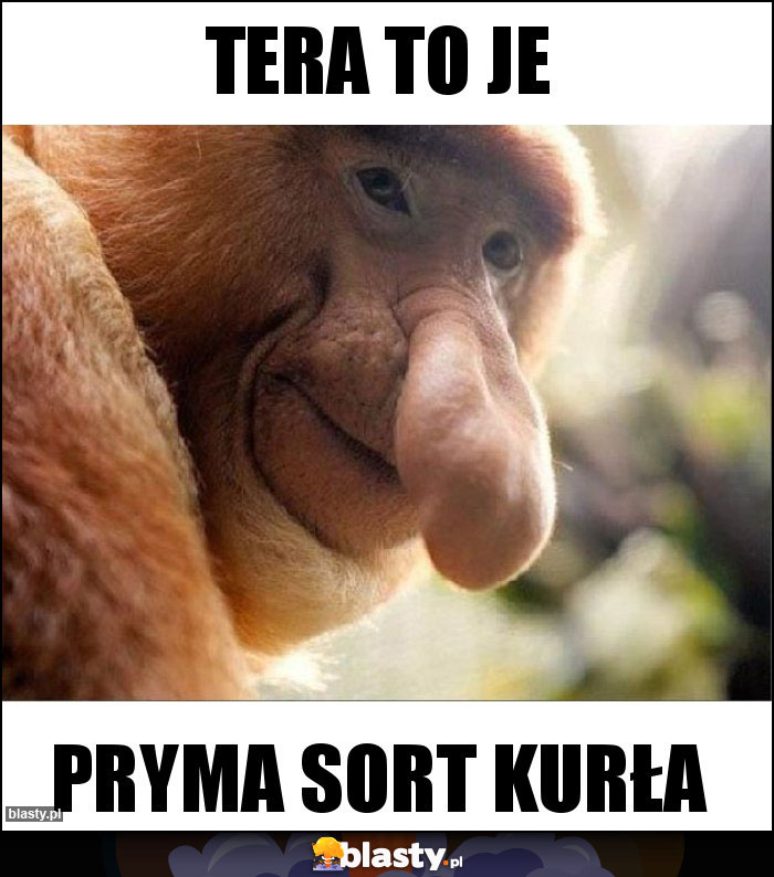 Tera to je Tera to je