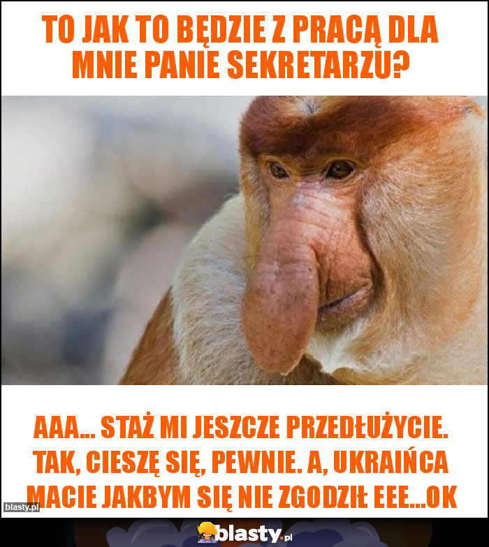 To jak to będzie z pracą dla mnie panie sekretarzu?