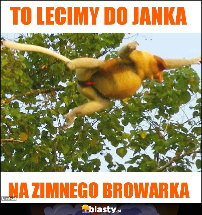 To lecimy do Janka To lecimy do Janka