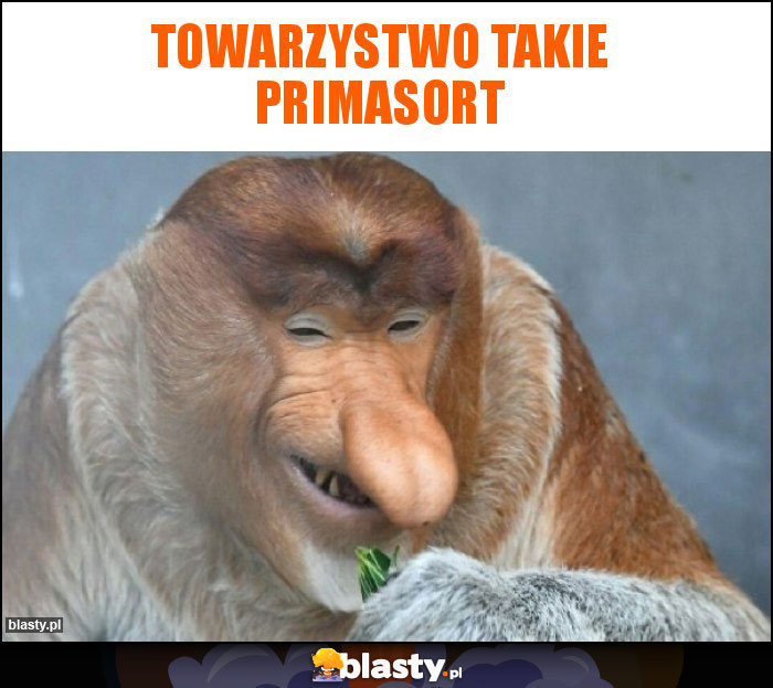 TOWARZYSTWO TAKIE PRIMASORT TOWARZYSTWO TAKIE PRIMASORT