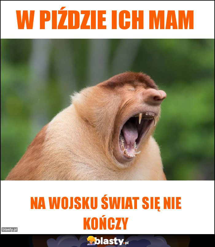W piździe ich mam W piździe ich mam