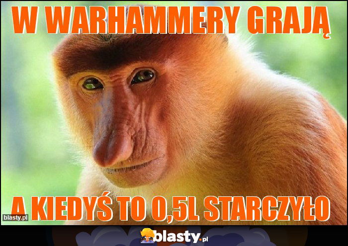W Warhammery grają W Warhammery grają