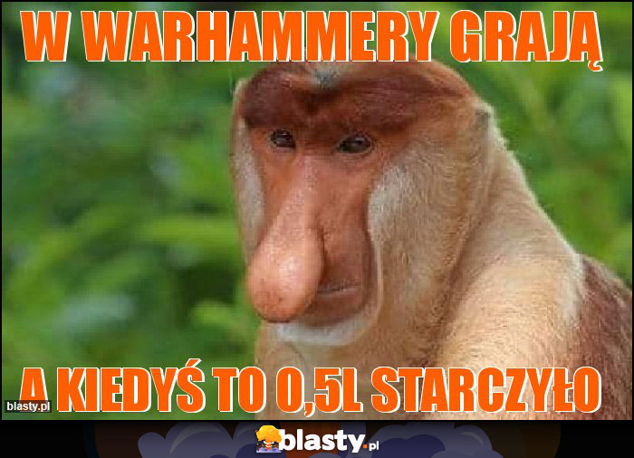 W Warhammery grają W Warhammery grają